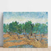Reproduktion av målningen Oliveraie - Vincent Van Gogh