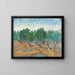 Reproduktion av målningen Oliveraie - Vincent Van Gogh