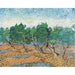 Reproduktion av målningen Oliveraie - Vincent Van Gogh