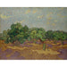 Reproduktion av målningen Oliviers - Vincent van Gogh