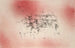 Landskap med Fåglar - Paul Klee — vy av konstverket