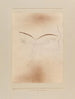 Liten spökanimal - Paul Klee — vy av konstverket