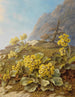 Primula auricula Primevères - Pauline Halm Flechner — vy av konstverket