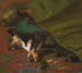 Pendant que les chiens dorment - John Emms — vy av konstverket