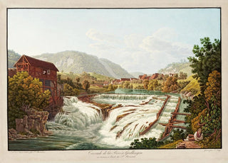 Peter Birmann - Cascade de la Birs Grellingen.webp