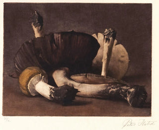 Peter Ilsted - Gul Champignon.webp