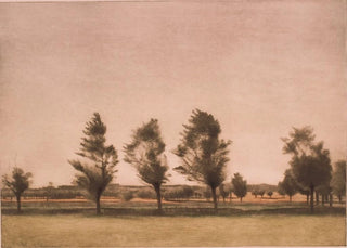Peter Ilsted - Landskab fra Falster.webp