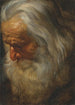 Studie av en äldre skäggig man - Peter Paul Rubens — vy av konstverket
