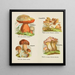 Petit atlas des champignons Pl 13 - Delachaux Niestle — inramlat konstverk på väggen