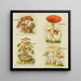 Petit atlas des champignons Pl9 - Delachaux Niestlé — inramlat konstverk på väggen