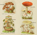 Petit atlas des champignons Pl9 - Delachaux Niestlé — vy av konstverket
