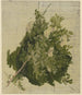 Buisson à fleurs blanches - Philipp Rumpf — vy av konstverket