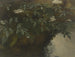 Sureau en fleurs - Philipp Rumpf — vy av konstverket