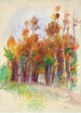 Bosquet d'arbres - Pierre-Auguste Renoir — vy av konstverket