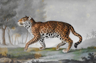 PierreFranois De Wailly - Grande Panthere.webp