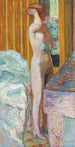 Nu stående - Pierre Bonnard — vy av konstverket