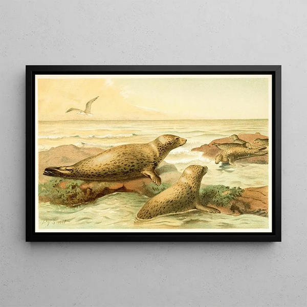 Pierre Jacques Smit - Leopard Seal.webp