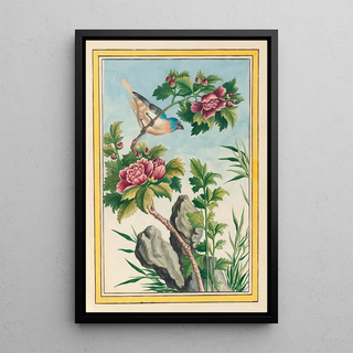 Pierre Joseph Buchoz - Plantes de Chine Pl013.webp