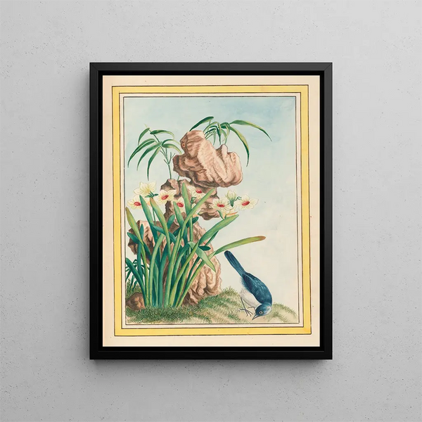 Pierre Joseph Buchoz - Plantes de Chine Pl040.webp