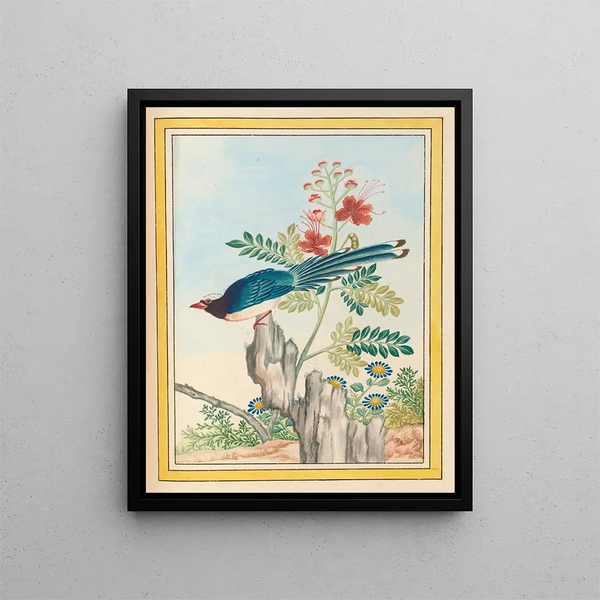 Pierre Joseph Buchoz - Plantes de Chine Pl071.webp