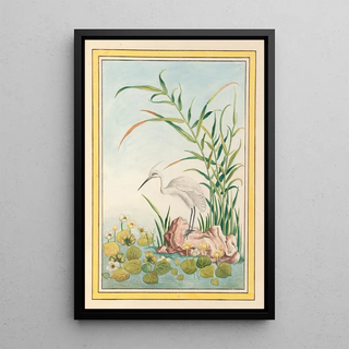 Pierre Joseph Buchoz - Plantes de Chine Pl094.webp