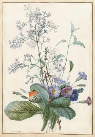 Pierre Joseph Redout - A Bouquet of Flowers with Insects.webp