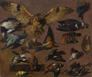 Pieter Boel - Studies Of An Owl And Other Birds.webp