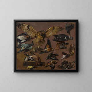 Pieter Boel - Studies Of An Owl And Other Birds.webp