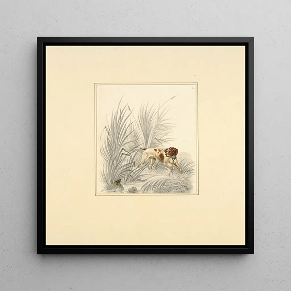 Henry Thomas Alken - Pointer looking at gamebird.webp