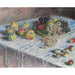 Reproduktion av målningen Pommes et raisins - Claude Monet