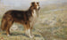 Pendant que le chien se repose, le berger peut dormir - R. S. Moseley — vy av konstverket
