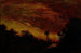 Skymning - Ralph Albert Blakelock — vy av konstverket