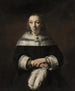 Porträtt av en dam med en fjäderhandväska i ostrutsfjädrar - Rembrandt van Rijn — vy av konstverket