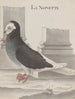 Histoire naturelle de Saint-Domingue Pl005 - René de Rabi — vy av konstverket
