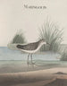 Histoire naturelle de Saint-Domingue Pl051 - René de Rabi — vy av konstverket