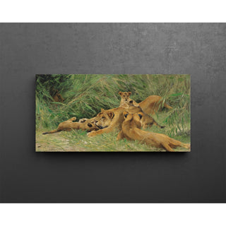 Reproduction Lions jouant - Wilhelm Kuhnert
