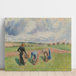 Reproduction Paysannes Ramassant des Herbes, Éragny - Camille Pissarro