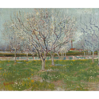 Reproduction Verger en fleurs Pruniers - Vincent van Gogh