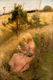 Flicka som plockar blommor - Richard Bergh — vy av konstverket