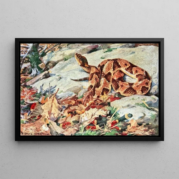 Robert Bruce Horsfall - Copperhead And Coral Snake.webp
