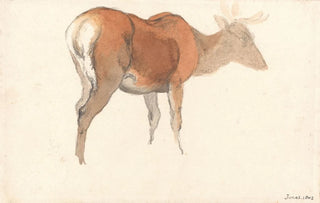 Robert Hills - A Stag.webp