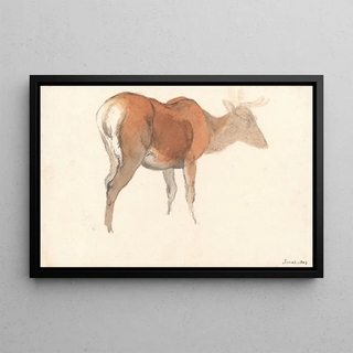 Robert Hills - A Stag.webp