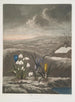 Le Perce-neige - Robert John Thornton — vy av konstverket