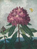 Le Rhododendron pontique - Robert John Thornton — vy av konstverket
