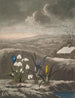 Le Perce-neige - Robert John Thornton — vy av konstverket