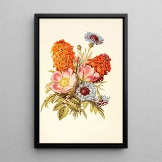 Robert Tyas - Blue Bottle Dog Rose Garden Anemone.webp