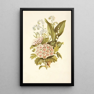 Robert Tyas - Forgetmenot Hawthorn Lily of the Valley.webp