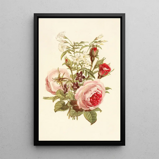 Robert Tyas - Moss Rose Sweetscented Violet White Jasmine.webp