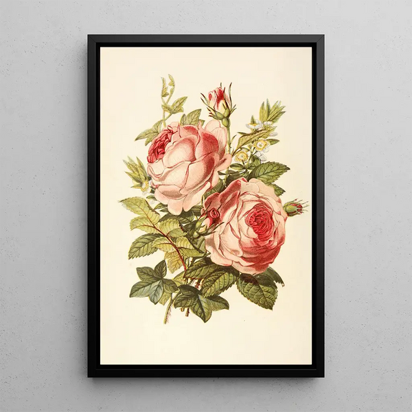 Robert Tyas - Rose Myrtle Ivy.webp