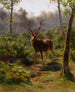 En älg - Rosa Bonheur — vy av konstverket